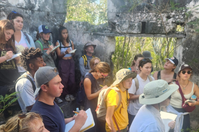 community learning mentors ideas building