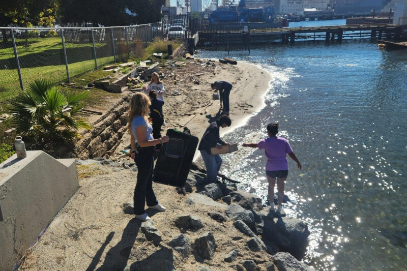 Ocean Discovery Institute Laboratory Classroom