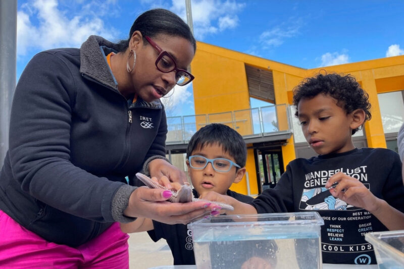 Ocean Discovery Institute Laboratory Activity