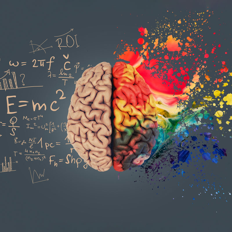 mind intellectual development education learning