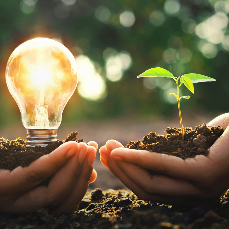 natural science grow develop nurture