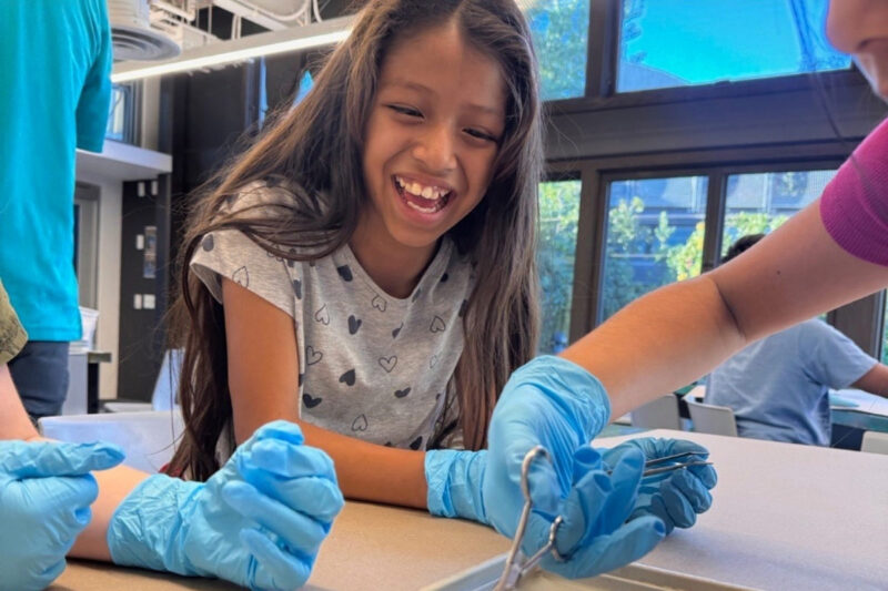 Ocean Discovery Institute Laboratory Activity