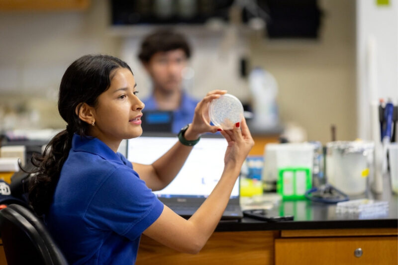 Ocean Discovery Institute San Diego