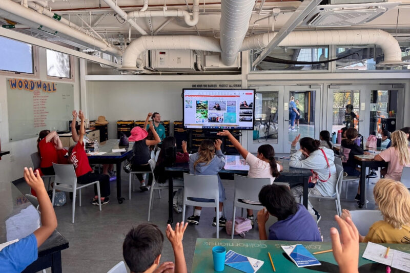 youth learning science community innovation